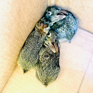 Meet your Posher, Jade